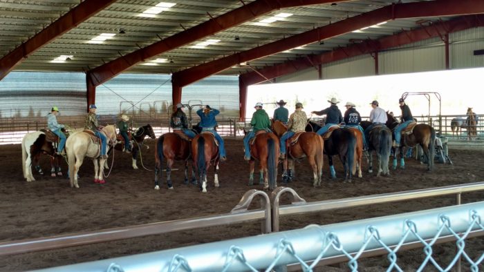 Team Roping Clinic